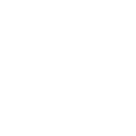 Bouton play